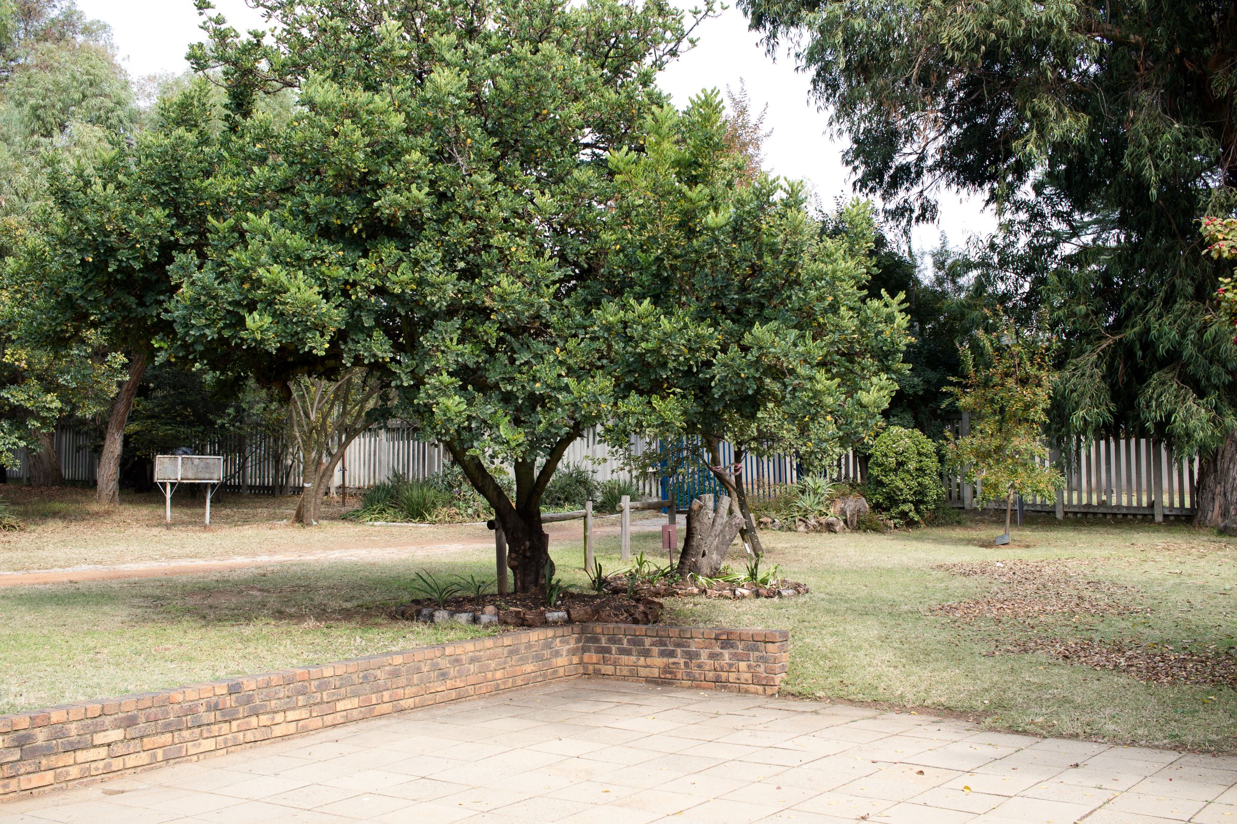 View from the front of hall